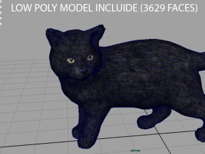 cat 3D Model