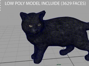 gato Modelo 3D