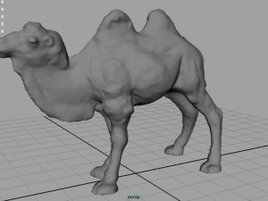 bactrian camel 3D 모델
