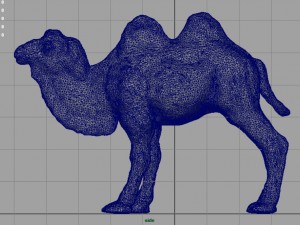 bactrian camel 3D 모델