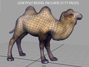 bactrian camel 3D 모델