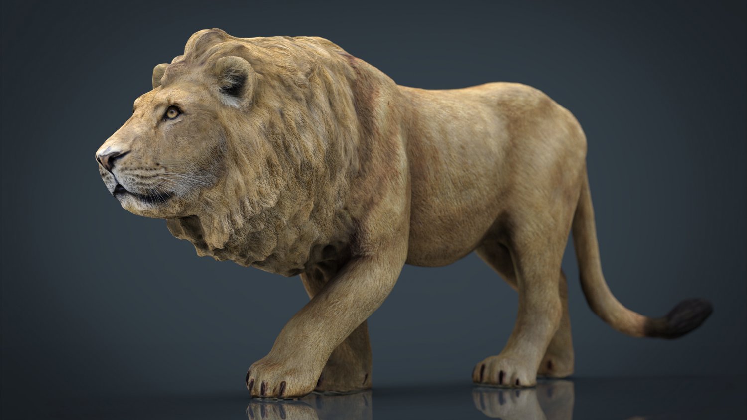 Realistic Lion 3D Model in Wildlife 3DExport