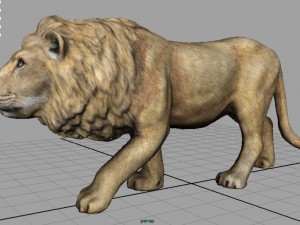 realistic lion 3D Model
