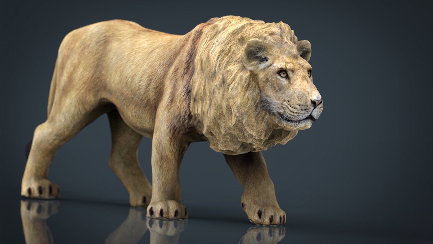 Realistic Lion 3D Model in Wildlife 3DExport