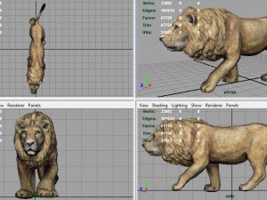 realistic lion 3D Model