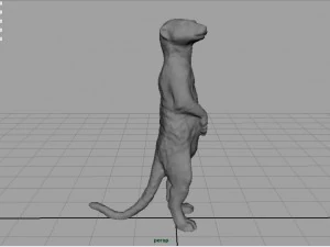 meerkat 3D Model