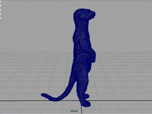 meerkat 3D Model