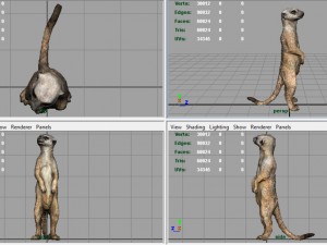 meerkat 3D Model