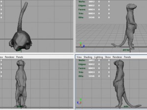 meerkat 3D Model