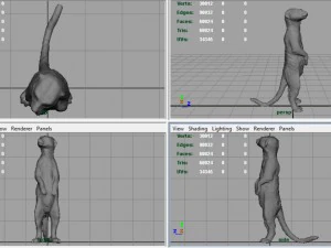 meerkat 3D Model