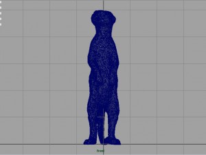 meerkat 3D Model