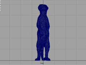 meerkat 3D Model