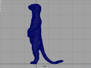 meerkat 3D Model
