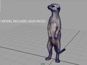 meerkat 3D Model