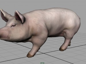 realistic pig 3D Model