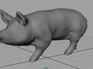 realistic pig 3D Model