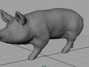 realistic pig 3D Model