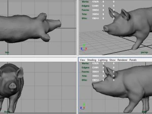 realistic pig 3D Model