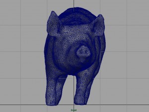 realistic pig 3D Model