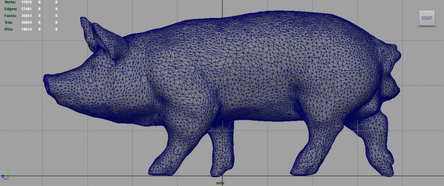 Fetish Pig