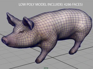 realistic pig 3D Model