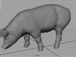 sow 3D Model