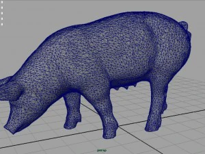 sow 3D Model