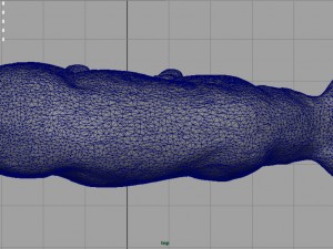 sow 3D Model