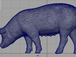 sow 3D Model