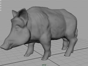 wild boar Modèle 3D