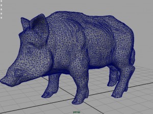 wild boar Modèle 3D