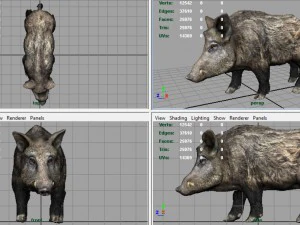 Wildschwein 3D Modell