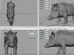 wild boar Modèle 3D