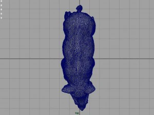 Wildschwein 3D Modell