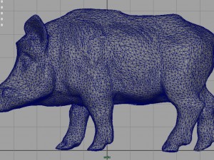 wild boar Modèle 3D