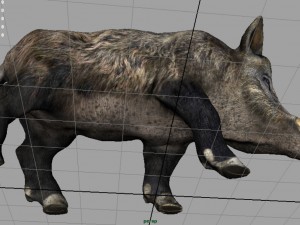 wild boar Modèle 3D