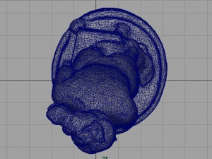 venus italic of canova 3D Модель