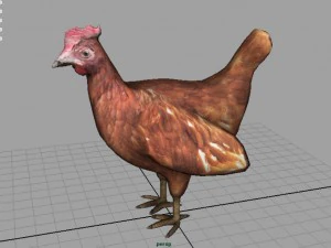 galinha Modelo 3D