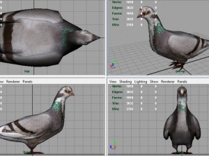 dove 3D Model