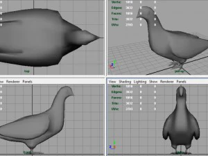 dove 3D Model