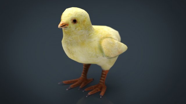 chick 3Dモデル .c4d .max .obj .3ds .fbx .stl .blend 
