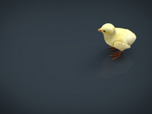 chick 3Dモデル