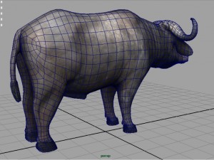 african buffalo Modèle 3D