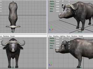 african buffalo Modèle 3D