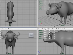 african buffalo Modèle 3D