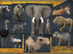 wild africa pack 3D Model