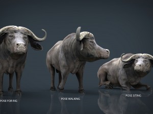 wild africa pack Modello 3D