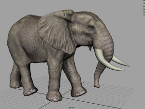 wild africa pack Modello 3D