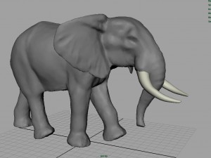 wild africa pack Modello 3D
