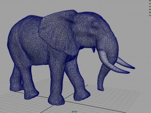 wild africa pack Modello 3D